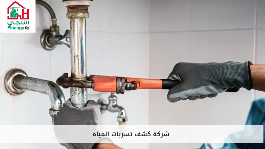 شركة كشف تسربات المياه 